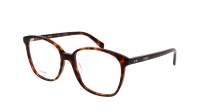 CELINE CL50115I 052 55-17 Havane