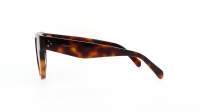 CELINE Bold 3 CL4003IN 53A 48-23 Tartaruga