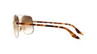 Ray-Ban RB3699 001/51 59-18 Arista