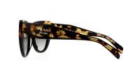 Sunglasses Prada Eyewear PR14WS 3890A7 52-20 Black/ Tortoise in