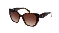 Prada PR 19ZS 2AU6S1 55-17 Tortoise