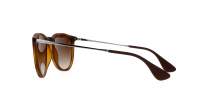 Ray-Ban Erika RB4171 865/13 54-18 Escama