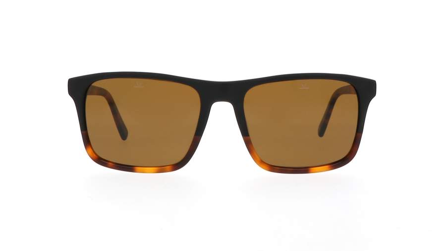Sunglasses Vuarnet Belvedere VL1619 0008 2622 56-18 Tortoise in stock