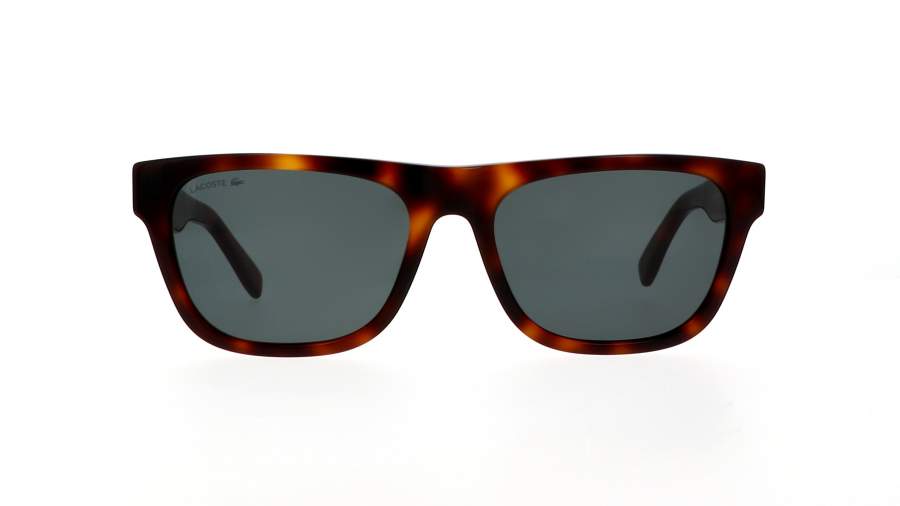 Sunglasses Lacoste  L979S 240 56-18 Tortoise in stock