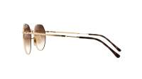 Ray-Ban Jack RB3565 001/51 53-20 Oro