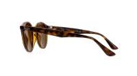 Ray-Ban RB2180 710/73 51-21 Tortoise Large