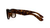Ray-Ban Justin RB4165 710/13 54-16 Tortuga