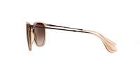 Ray-Ban Erika RB4171 6514/13 54-18 Trasparente