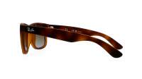 Ray-Ban Justin RB4165 865/T5 54-16 Smeđa