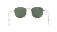Ray-Ban Frank RB3857 9196/31 51-20 Zlato