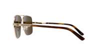 Gucci Gucci logo GG1289S 002 62-14 Zlato