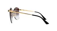 Cartier Panthère de cartier CT0398S 001 62-16 Or