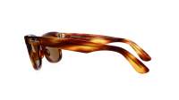 Ray-Ban Original wayfarer RB2140 954 50-22 Školjka