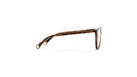 CHANEL CH3446 C714 54-16 Dark havana