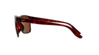 Maui Jim Pailolo H603-10 58-18 Żółw