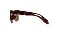 Maui Jim Pehu H602-10 55-20 Skildpadde