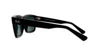 Ray-Ban Warren RB4396 6677/71 57-20 Crna