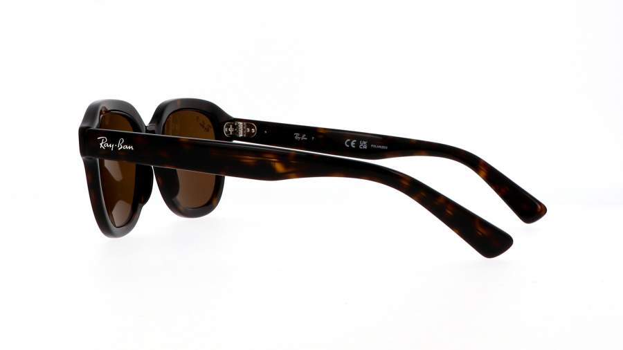 Sunglasses Ray-Ban Erik RB4398 902/57 51-20 Havana in stock