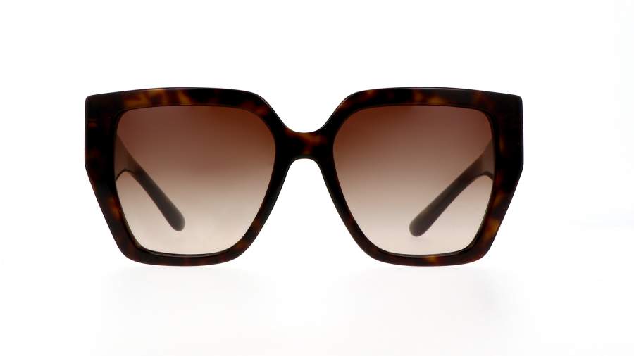 Sunglasses Dolce & Gabbana DG4438 502/13 55-17 Havana in stock