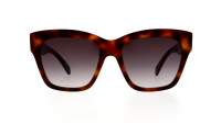 CELINE Triomphe 09 CL40253I 53K 55-18 Escama