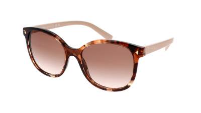 Sunglasses Prada PR22ZS 07R-0A6 53-17 Tortoise in stock