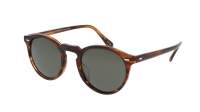 Oliver peoples Gregory peck sun OV5217S 1724P1 50-23 Tuscany tortoise