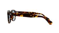 Moscot Lemtosh LEMTOSH SUN 49 MATTE TORTOISE Żółw