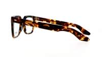 Moscot Grober GROBER 48 CLASSIC HAVANA DEM. Żółw