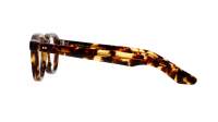 Moscot Dahven DAHVEN 47 CLASSIC HAVANA DEM. Tortuga
