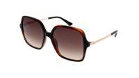 Guess GU7845/S 52F 57-17 Tartaruga