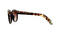 Etnia Barcelona Eixample 5 EIXAMP BKHV 52-22 Black Havana