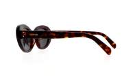 CELINE 3 dots CL40193I 52A 53-21 Tartaruga