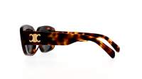 CELINE Triomphe 04 CL40216U 53A 55-15 Skildpadde