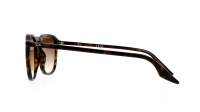 Ray-Ban RB2203 902/51 52-20 Havana