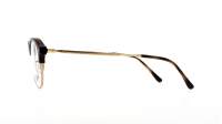 Ray-Ban RX7229 2012 53-20 Havana On Arista