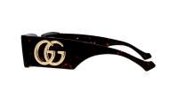 Gucci Gg logo GG1425S 002 53-21 Havana Brown