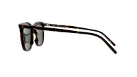 Saint Laurent New wave SL 623 002 49-22 Havana