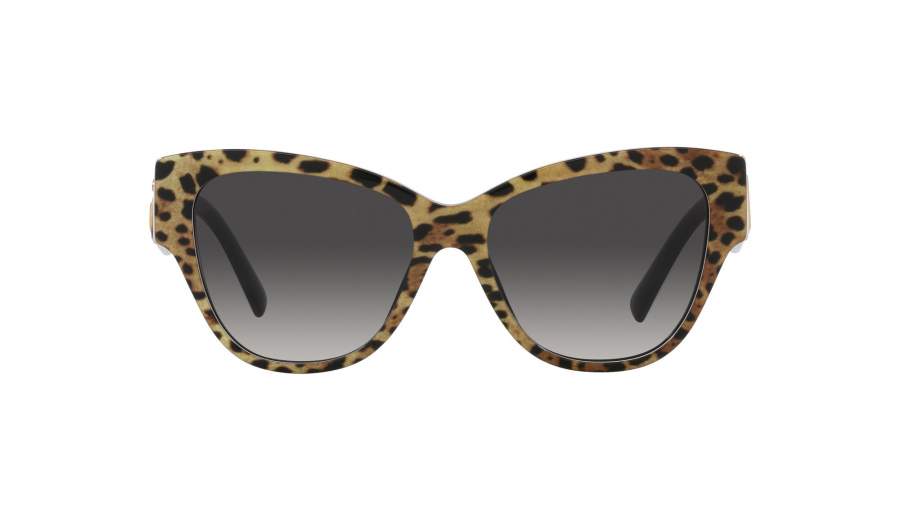 Sunglasses Dolce & Gabbana Dg Logo DG4449 31638G 54-16 Leo brown on black in stock