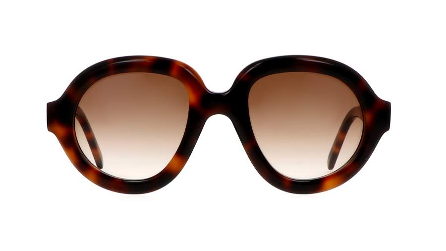 Sunglasses Loewe Curvy LW40105I 52F 49-22 Tortoise in stock
