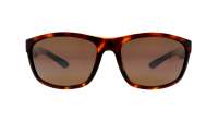 Maui Jim Nuu landing H869-10 62-18 Tortuga