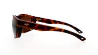 Maui Jim Nuu landing H869-10 62-18 Tortuga