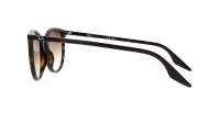 Ray-Ban RB2204 902/51 51-20 Havana