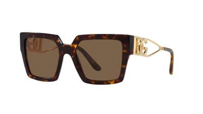 Sunglasses Dolce & Gabbana DG4446B 502/73 53-19 Havana in stock