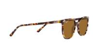 Ray-Ban Elliot RB2197 902/33 52-19 Havana