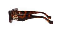 Loewe Anagram LW40101I 52E 46-22 Escama