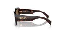 Sunglasses Prada PR A08S 16N5Y1 56-20 Briar Tortoise in stock 
