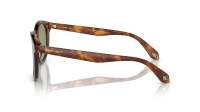 Giorgio Armani AR8192 5988/14 50-21 Havana Red