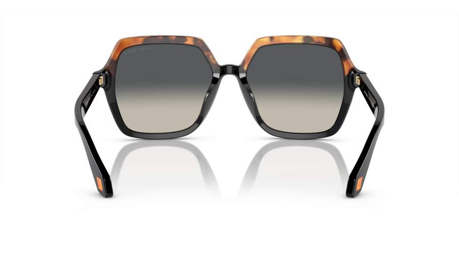 Sunglasses Giorgio Armani AR8193U 5875/19 55-17 Tortoise in 