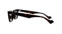 Gucci Lettering GG1539S 002 55-19 Tortuga