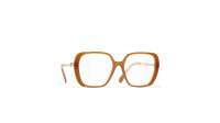 CHANEL CH3462 1760 54-17 Brown